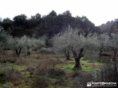 El Monasterio del Bonaval y el cañón del Jarama;clubs de senderismo en madrid senderismo madrid si